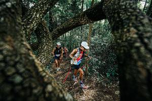 BIB: 
                            <button type="button" onclick="openModal(25392171)" class="btn btn-primary btn-sm float-right btn-popup" data-toggle="modal" data-target=".modal-high-quality">
                        <i class="fas fa-shopping-cart"></i> Add to Cart
                    </button>
                                            <button type="button" onclick="isThisMe(25392171, true)" class="btn btn-success btn-sm float-right btn-popup btn-isme hidden" data-toggle="tooltip" data-placement="bottom" title="นี่คือรูปของคุณใช่ไหม คลิกที่นี่เพื่อเอาเข้าอัลบั้ม">
                        <i class="fas fa-plus"></i> Add to album
                    </button>
                    <button type="button" onclick="isThisMe(25392171, false)" class="btn btn-warning btn-sm float-right btn-popup btn-isnotme hidden">
                        <i class="fas fa-ban"></i> Remove from album
                    </button>